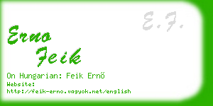 erno feik business card